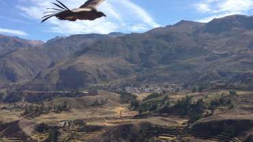 Colca Canion – Full Day